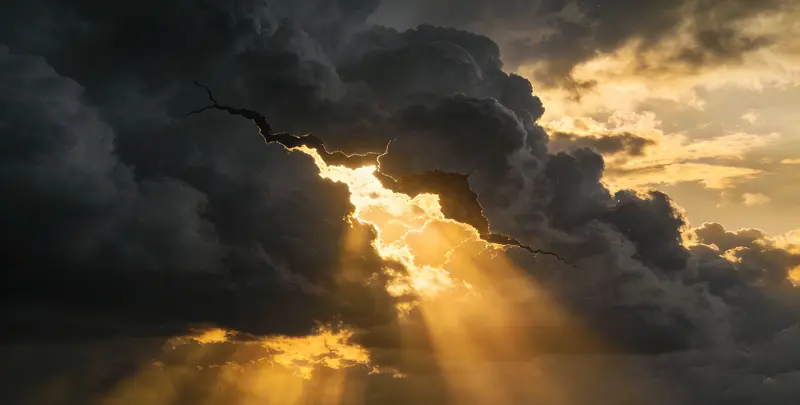 武汉肺癌靶向120基因检测（组织）图片1