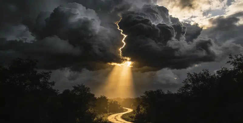 肺癌靶向120基因检测（组织）图3