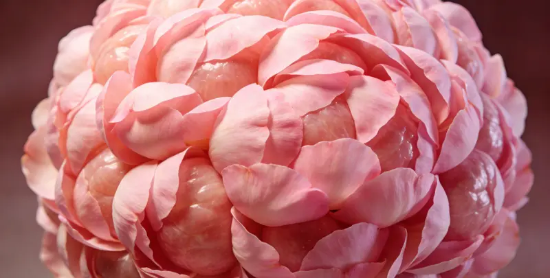 武汉BRCA1/2乳腺癌卵巢癌基因检测图片1